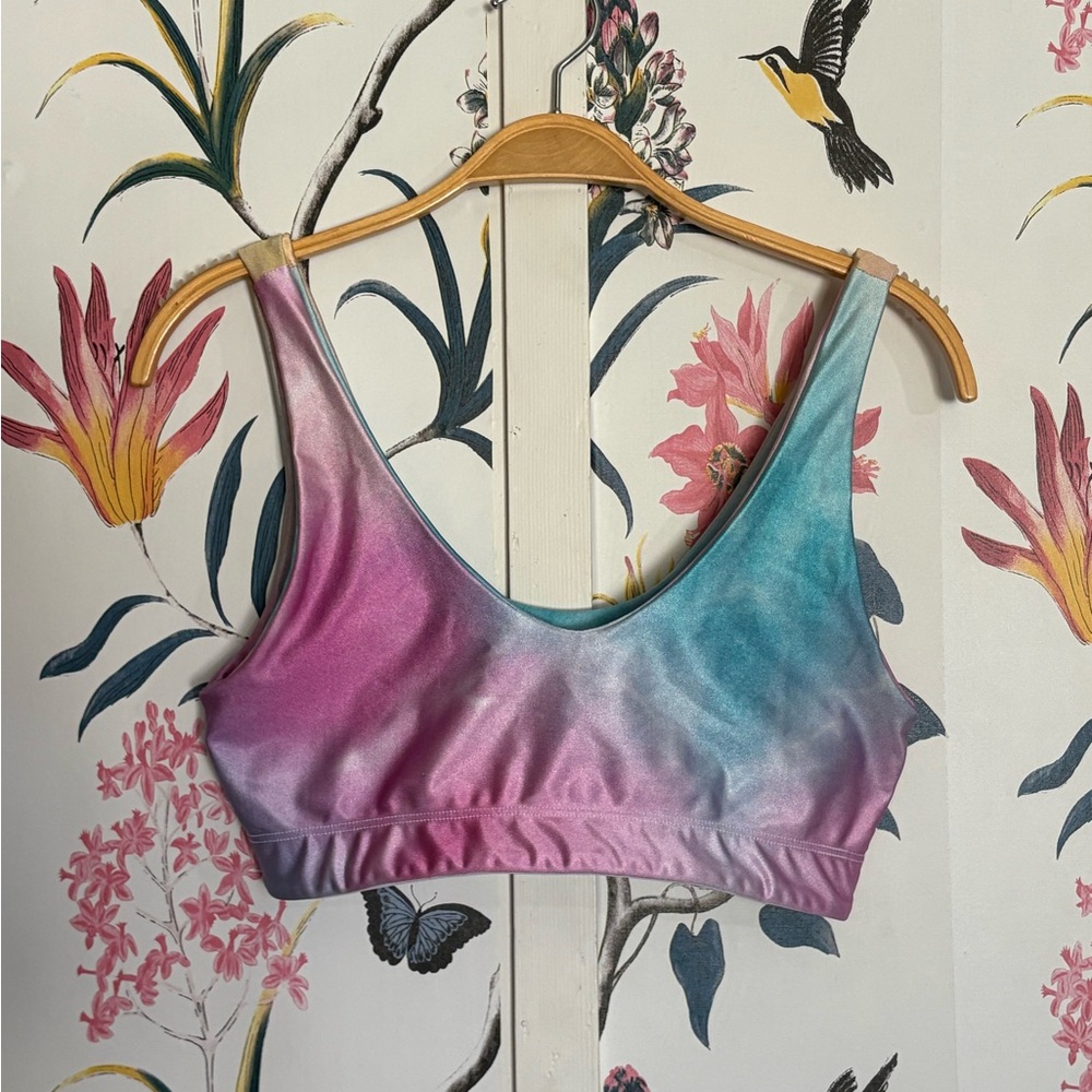 Goldsheep Blue and Purple Sports Bra